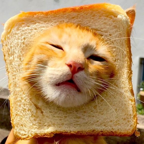 Hello hello! - Picture 6 of 9